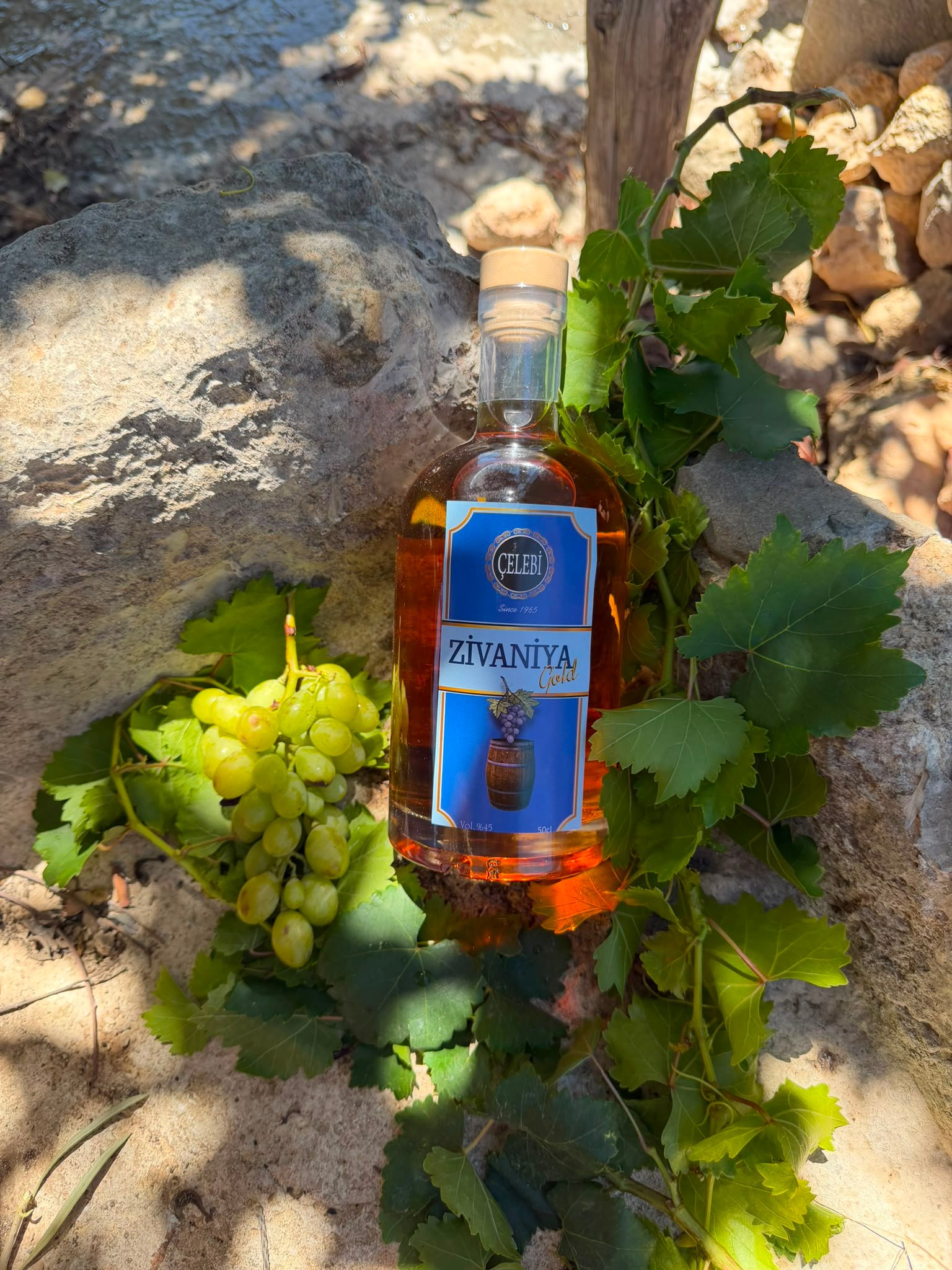 Çelebi Zivaniya Gold 50 cl — fıçıda dinlendirilmiş zivaniya