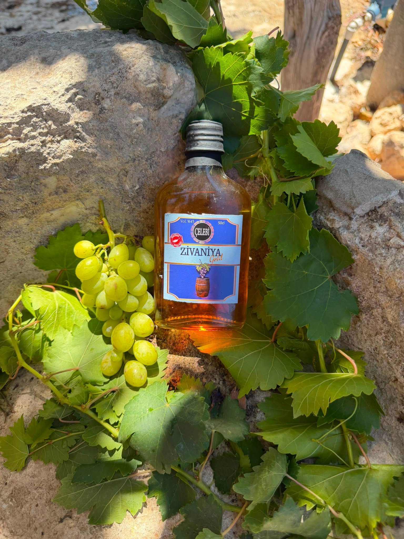 Çelebi Zivaniya Gold 25 cl — fıçıda dinlendirilmiş zivaniya